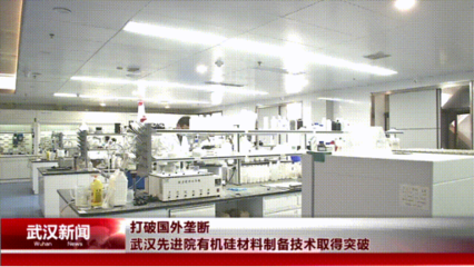 武漢先進(jìn)院突破有機(jī)硅材料制備技術(shù)，為電氣科技國產(chǎn)化注入新動(dòng)能